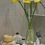 Oficentro Deluxe Daire Málaga